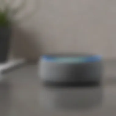 Voice command activation on Echo Dot